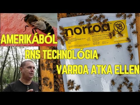 RNA Technology & Norroa: An Independent European Research Perspective on the New Treatment