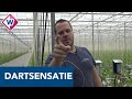 Dartsensatie Dirk van Duijvenbode staat weer gewoon tussen de aubergines - OMROEP WEST