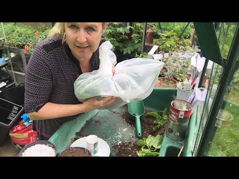 Introduction to vegetative propagation part 1. RHS Level 2