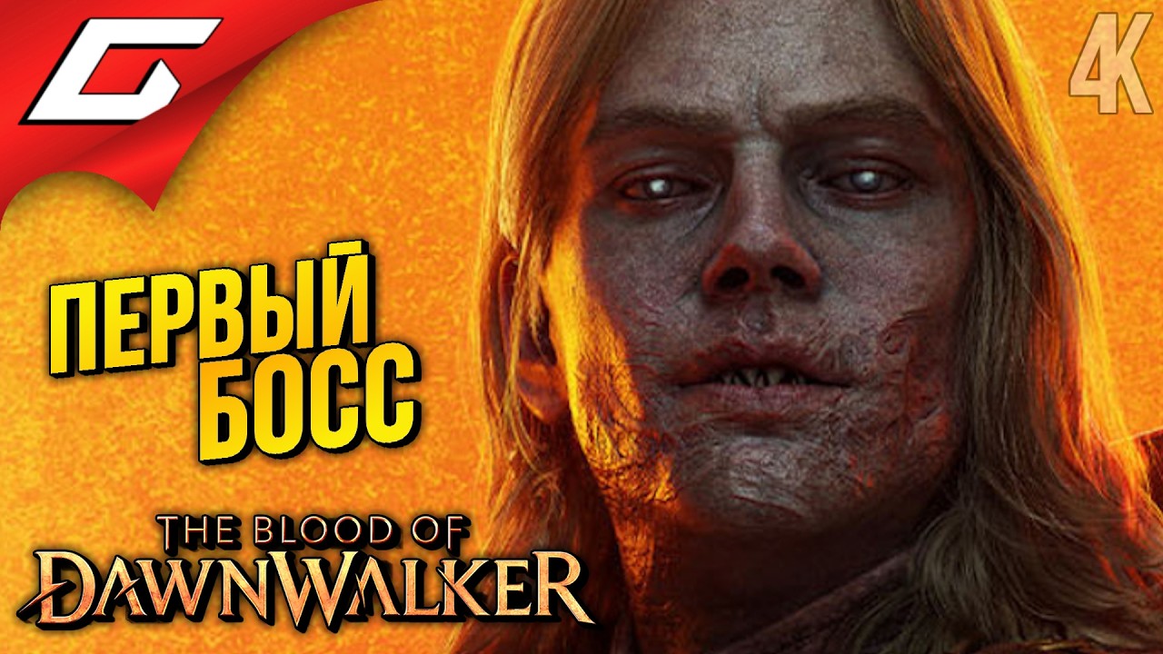 КРАСАВЧИК АМБРУС ➤ The Blood of Dawnwalker ◉ Прохождение 5