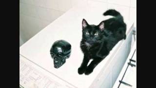 Labyrinth Ear - Navy Light