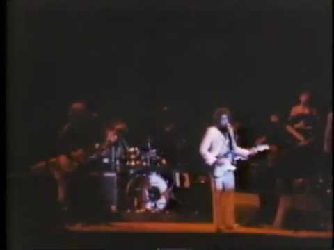 February  17, 1978   Bob Dylan's First Visit Tokyo   Japan  Rare Videos and Photographs