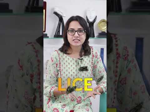 Head Lice - Treatment Dermatologist’s Guide  | Dr. Deepika Lunawat