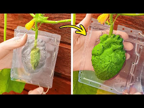 古いヒールをリサイクルする