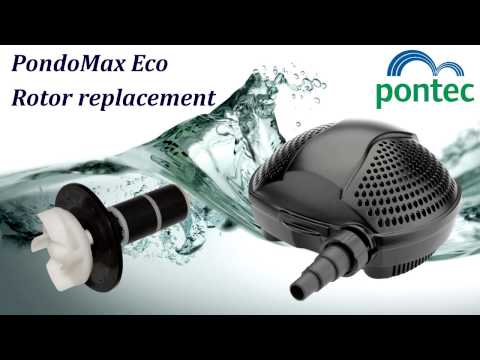 Watch Video on YouTube