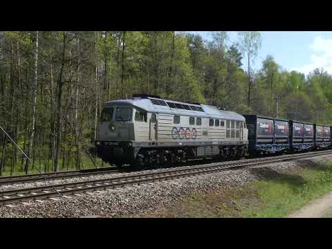 BR232-446 ECCO ze składem kontenerów Cedrob Cargo