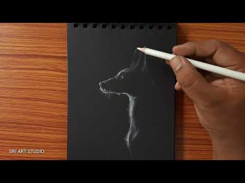 Black and White Dog Drawing /Easy Step By Step