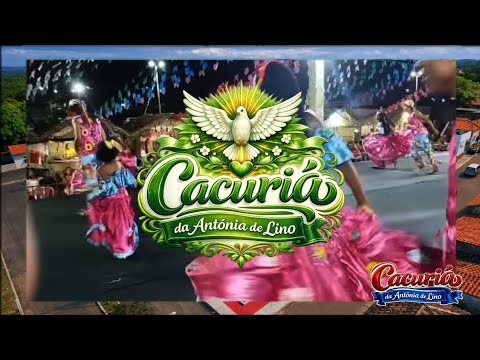 Cacuriá da Antônia de lino | cidade Bequimão Maranhão 2025