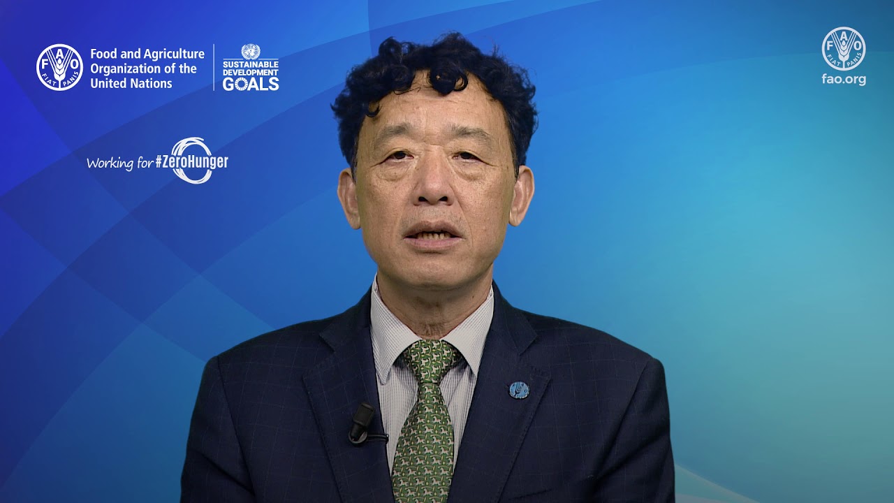 FAO DG QU Dongyu's video message Ad hoc Codex Intergovernmental Task Force on AMR