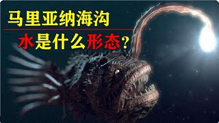 深11034米馬裡亞納海溝，是否存在未知生物？ 超乎想像的深海世界