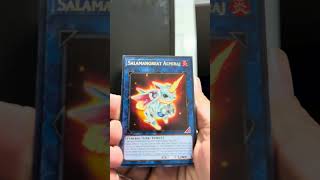 Yu-Gi-oh why not! Need to learn how to play this game! #yugioh #fyp case hit!