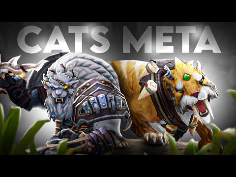 CAT DOMINATION BEGINS | SCRUBNOOB