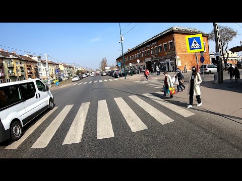 Zebrán a gyalogosnak elsőbbsége van