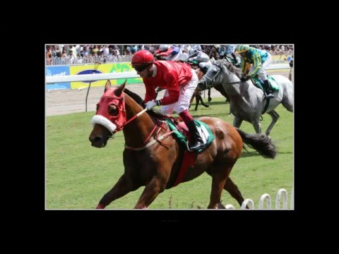 PHOTO GALLERY - RACE MEETING 06 - THE DUCHESS OF YORK CUP 2016