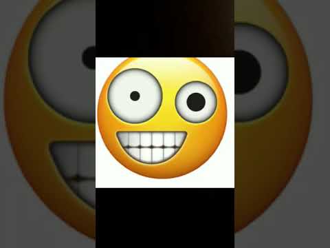 12 Days of Quarantine!