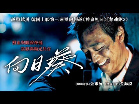 《向日葵》Sunflower｜正式預告