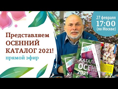 романов сад воронеж каталог 2021