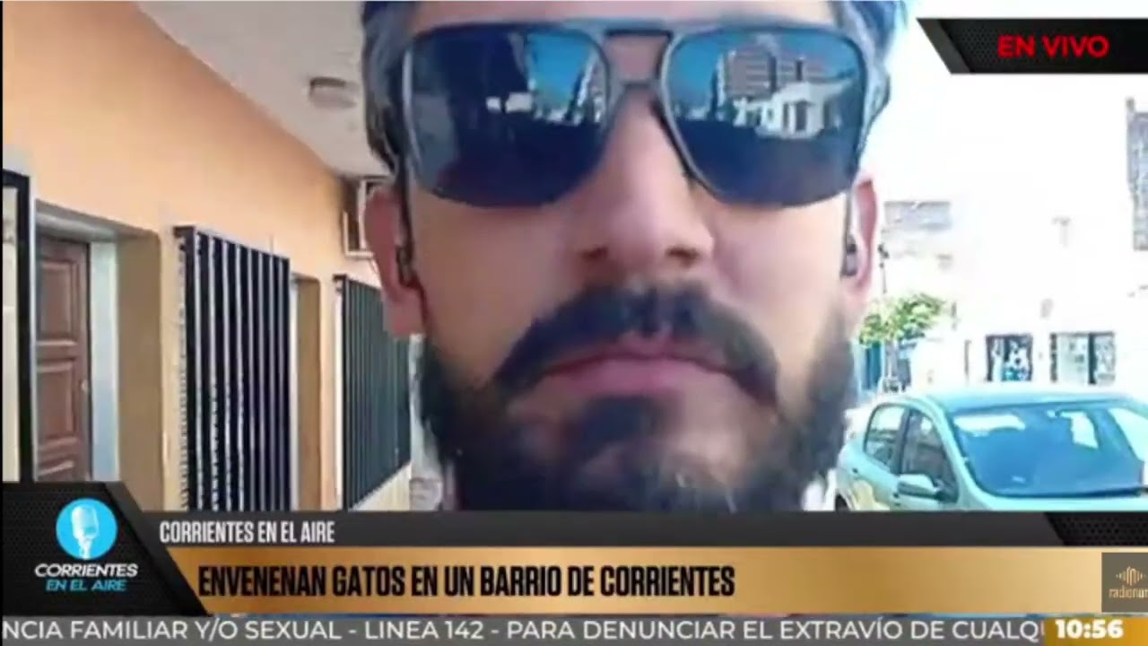 Matanza masiva de gatos con veneno en un barrio capitalino