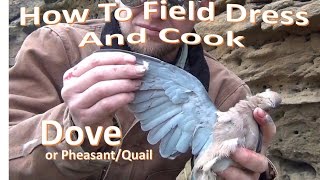 How to Field Dress and Campfire Cook a DOVE