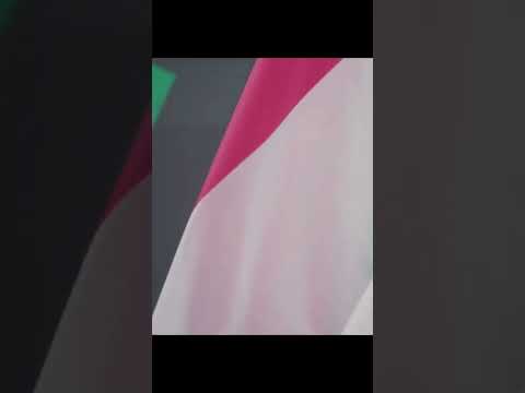 Juventus Academy World Cup 202/