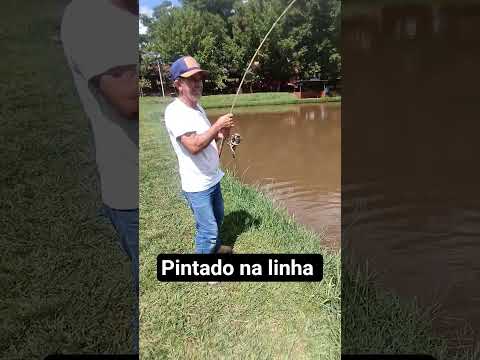 pesqueiro Miranda em Candido Mota