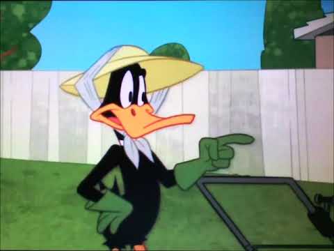 "Help! I'm an Animal" Part 13 - Gathering Ingredients ("Do You Believe in Magic?")