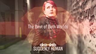 Akamikeb - The Best of Both Worlds