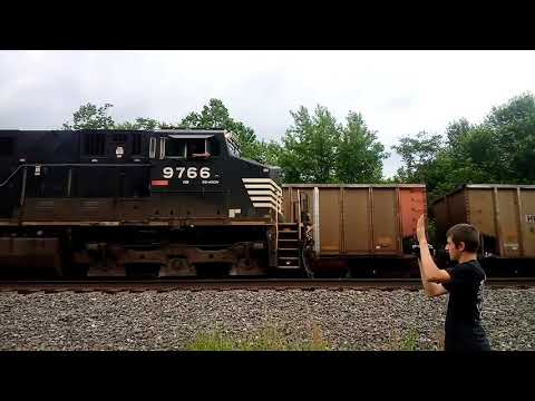 NS 9766 Leading NS 9763, NS 3063, NS 6100, NS 7567, and NS 6949