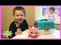 Doc McStuffins Pet Hospital Pet Carrier Pet Rescue Doctor Checkup Kitty Cat Tummy Ache Shot Cast