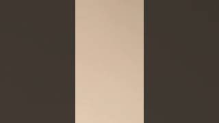 tiktok good ponsel hpnya kalah mulus ama spg penglaris hp [YouTube shorts] #pemersatubangsa #ponsel