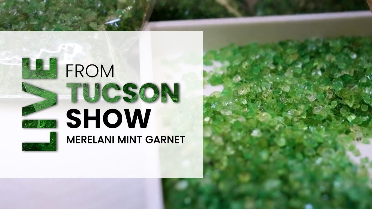 Tucson Gemstone Show | Rare Color Changing Gemstone Merelani Mint Garnet that needs no treatment
