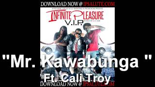 08. IP (Infinite Pleasure) - Mr. Kawabunga Ft. Cali Troy - V.I.P.