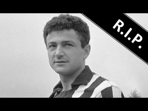 Milan Galić ● A Simple Tribute