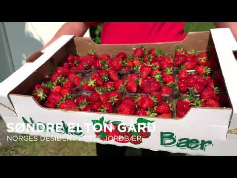 Kortreiste ferieperler på Stange