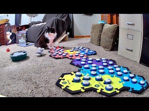 Todd Says Good Morning Hello to My Wife Downstairs