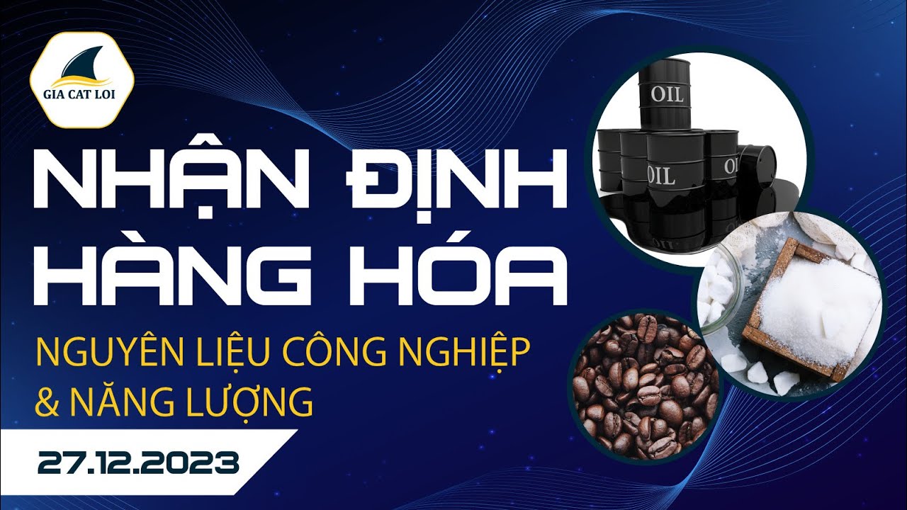 Nhận Định Hàng Hoá Năng Lượng & Nguyên Liệu Công Nghiệp 27/12/2023