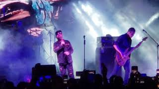La Secta Allstar - Locura Automatica  Live 2019 Mega Palooza