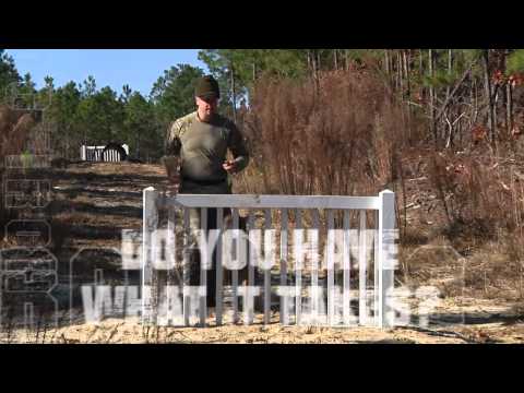 Iron Dog Competition