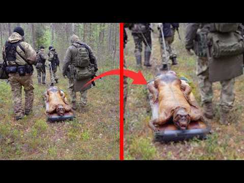 20 Najstraszniejszych Rzeczy Znalezionych W Lasach