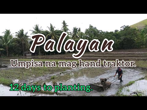 12 Days to Planting (Hand Tractor sa Palayan)
