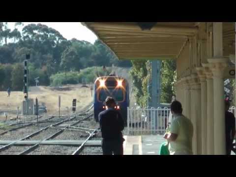 Explorer and 2 XPTs, Junee NSW