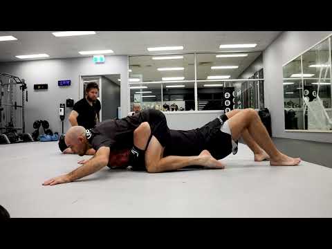 Alta 20 Week Warrior Training Program - Our First Season