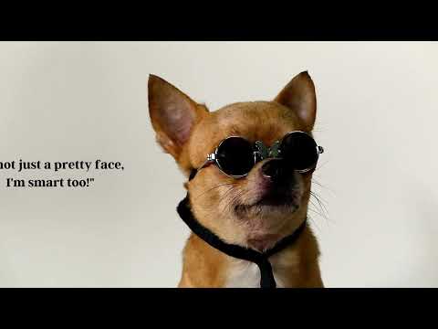 I'm not just a pretty face, I'm smart too!