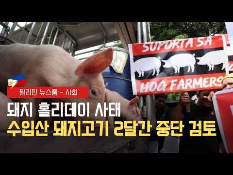 농업부 수입산 돼지고기 2달간 중단 검토 | 만성절 연휴 귀성객 노리는 부당요금 대단속 | 필리핀동포방송 | 필리핀한인방송 | 필리핀뉴스룸