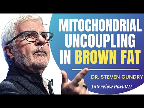 Mitochondrial Uncoupling In Brown Fat | Dr Steven Gundry Ep 7