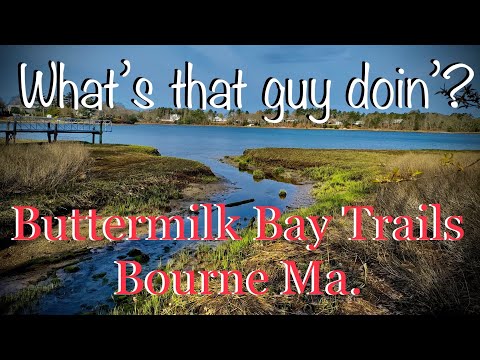 Walking Buttermilk Bay Trails, Bourne Ma.