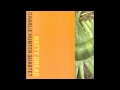 "Natty Dread" by Charlie Hunter