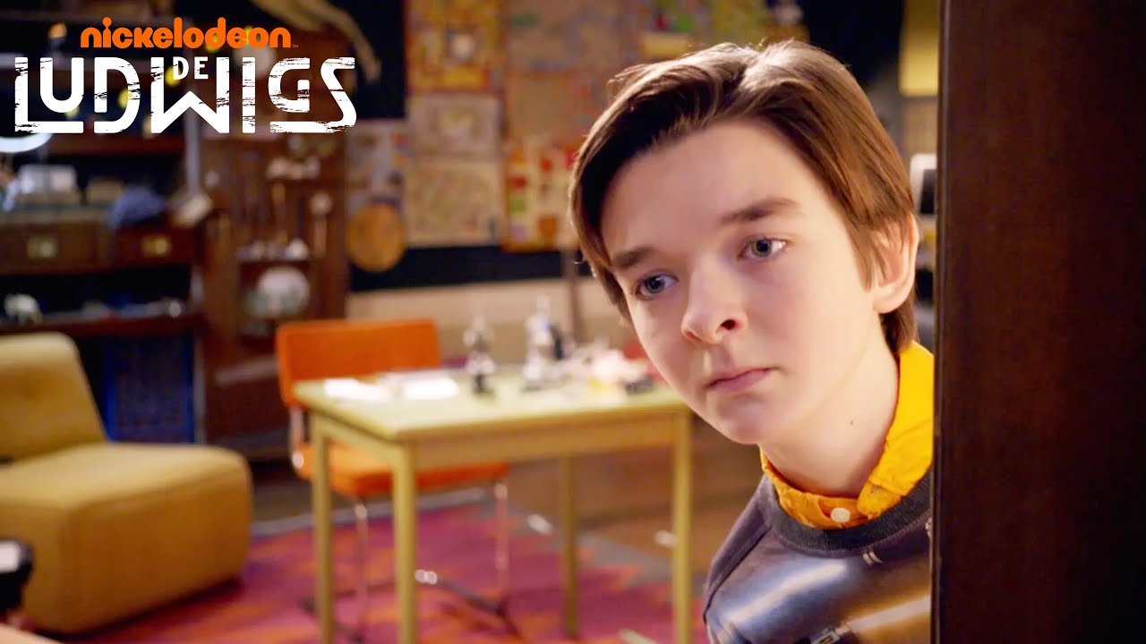 De Ludwigs