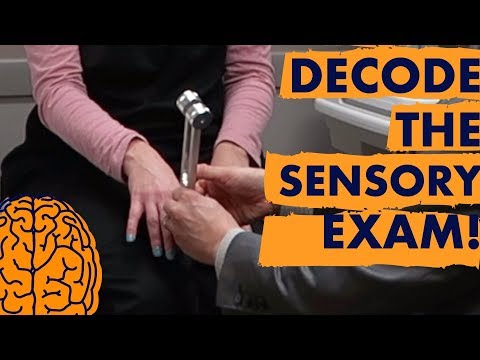 Multiple Sclerosis: Decode the SENSORY Exam