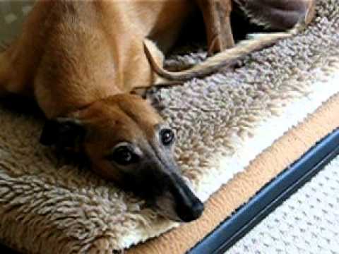 video Raisa bijna in slaap.avi